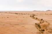9 Different Types of Rivers (Plus Essential Facts) – Nayturr