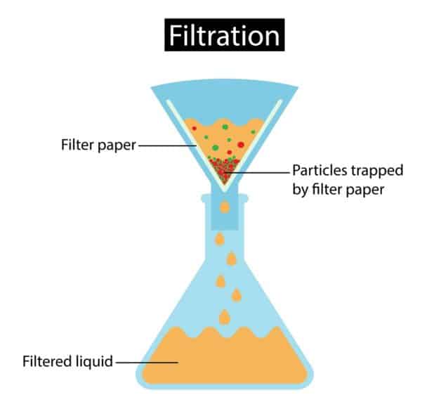 4 Types of Passive Transport (Plus Vital Facts) Nayturr