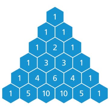 7 Different Types of Triangles – Do You Know Them All? – Nayturr