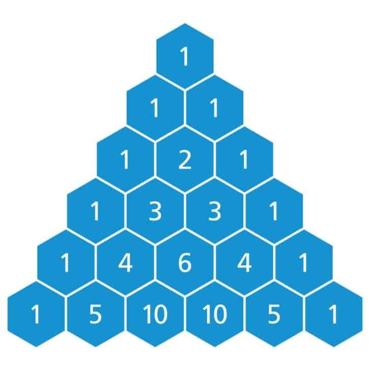7 Different Types of Triangles – Do You Know Them All? – Nayturr