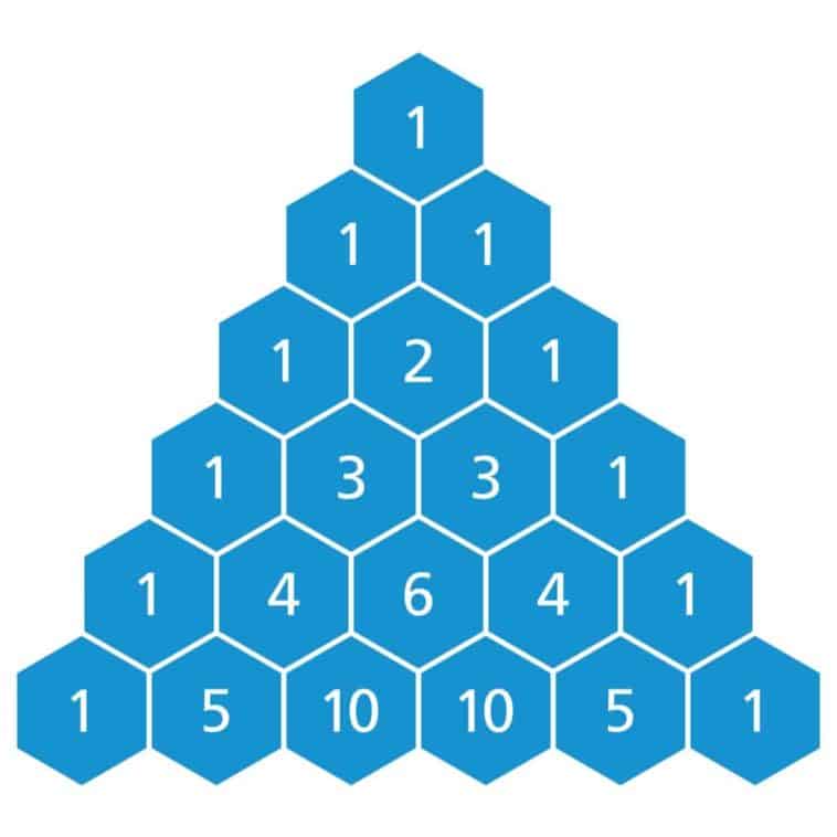 7 Different Types of Triangles – Do You Know Them All? – Nayturr