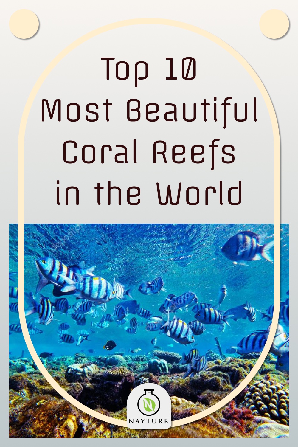 Top 10 Most Beautiful Coral Reefs in the World – Nayturr