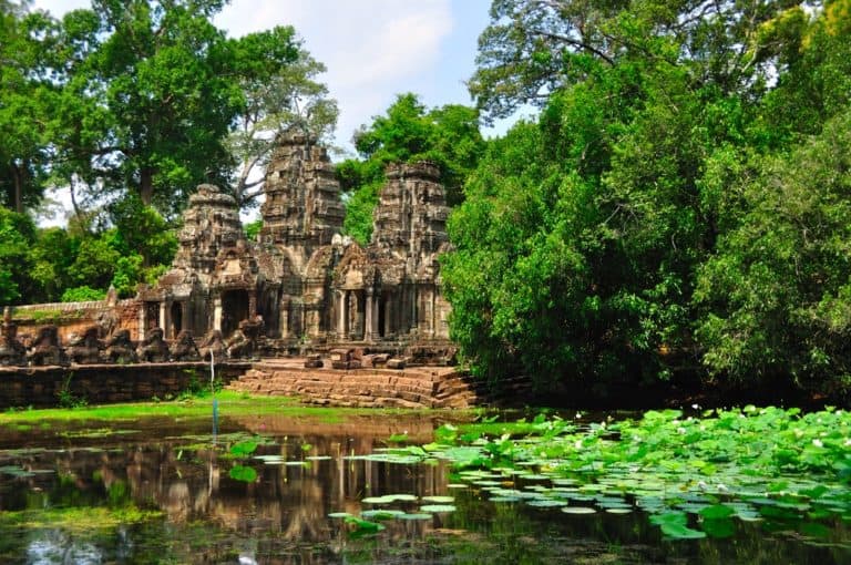 Jungle vs Rainforest (What’s the Difference?) Nayturr