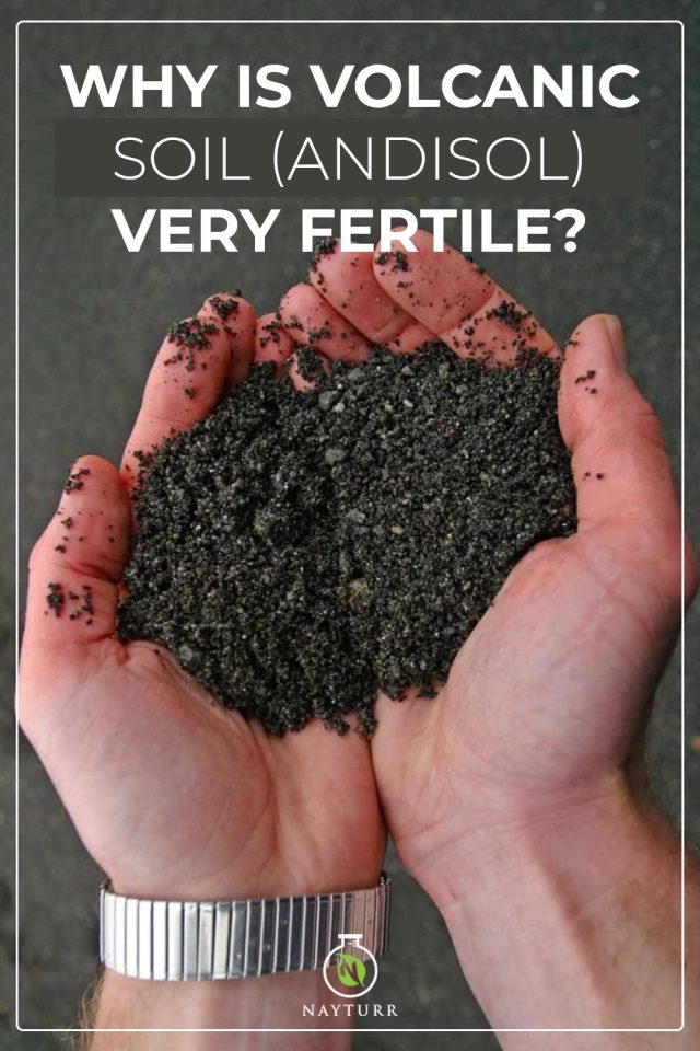 Why is Volcanic Soil (Andisol) Very Fertile? Nayturr