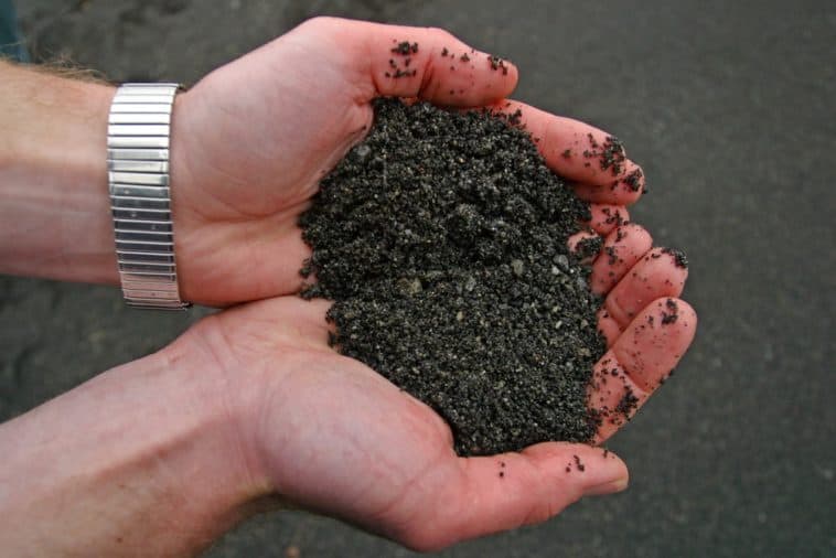 Why is Volcanic Soil (Andisol) Very Fertile? Nayturr