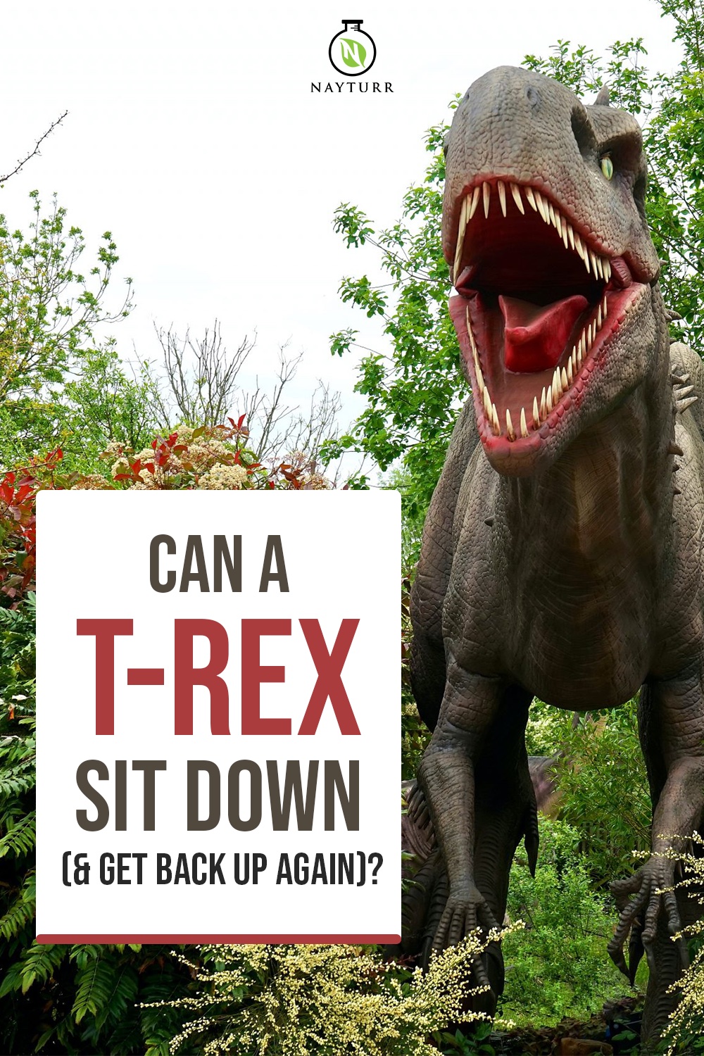 Can A TRex Sit Down (& Get Back Up Again)? Nayturr
