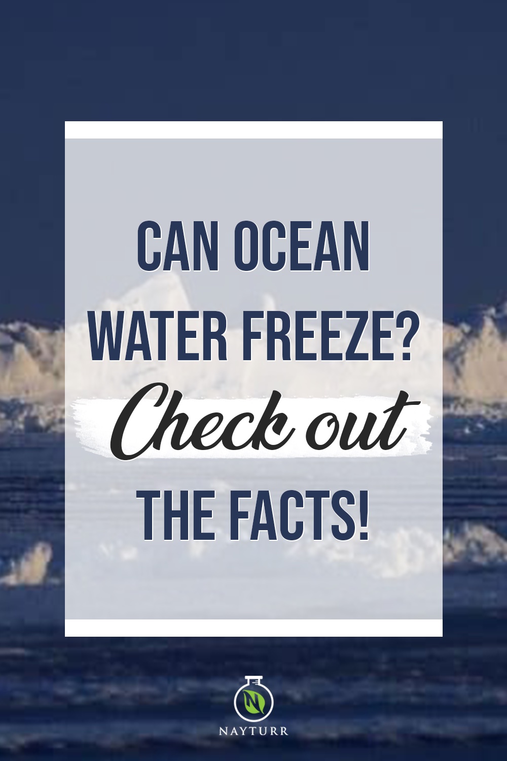 Can Ocean Water Freeze? Check out the Facts! Nayturr
