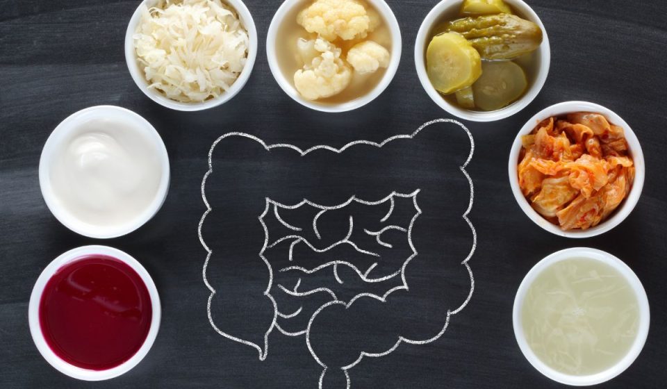 5 Different Types of Food Enzymes Complete Guide Nayturr