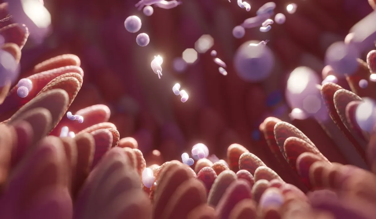 A close up of stomach lining and enzymes.