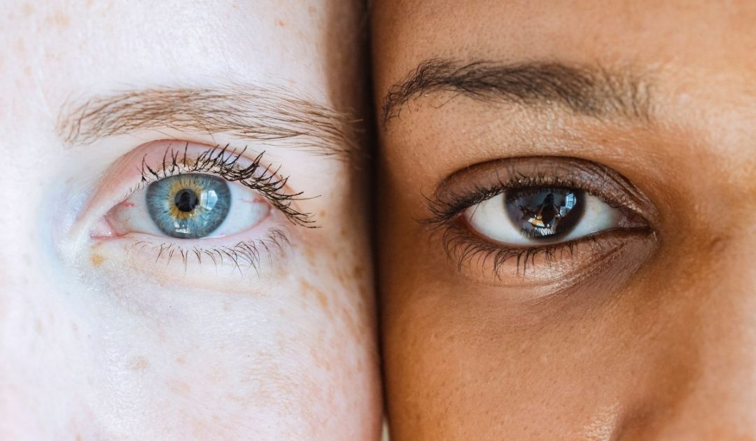 15 Animals With More Than 2 Eyes & Why They Need Them Nayturr