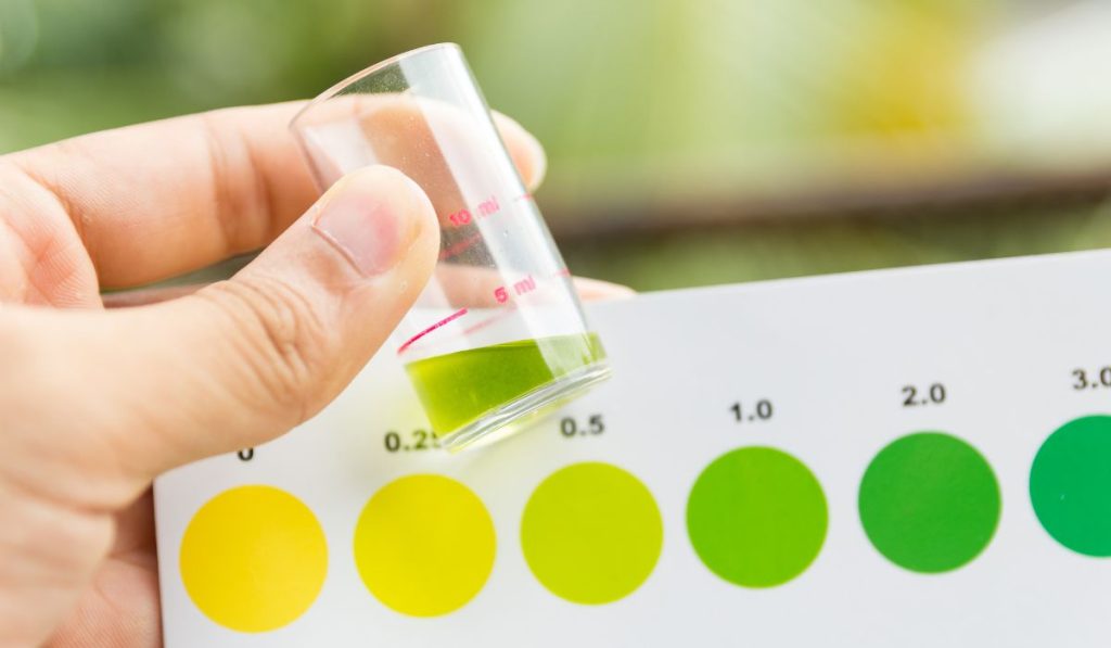 How Long Can Fish Survive in Tap Water? Is It Safe? Nayturr